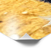 Emu Foto Afdruk (Hoek)