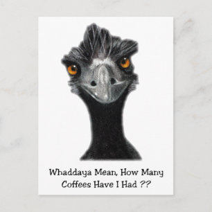 Emu: Funny, Humor: Te veel koffie: Kunst Briefkaart