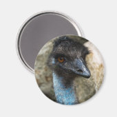 Emu Head Magnet (Recto/Verso)