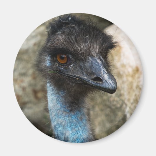 Emu Head Magnet (Devant)