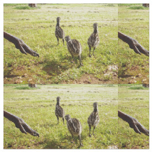 Emu-kuikens met emu Big Foot Stof