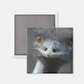 Emu Magnet (Recto/Verso)