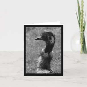 EMU-Natuur houdt van zwart-wit verticaal Stickers Kaart