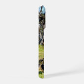 Emu Parents Taking Chicks For Walk, (Côté droit)