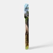 Emu Parents Taking Chicks For Walk, (Côté gauche)