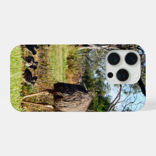 Emu Parents Taking Chicks For Walk, (Verso Horizontal)