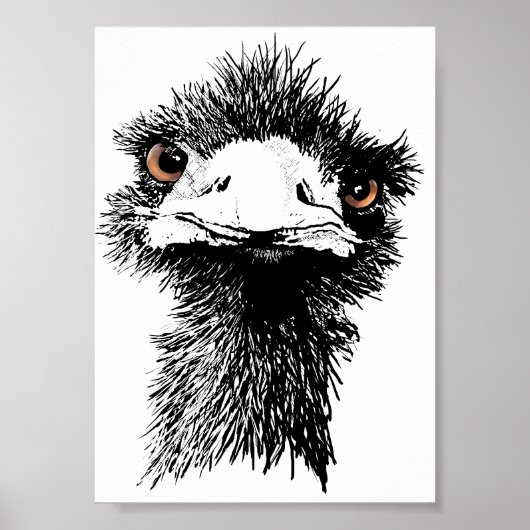 Emu Poster (Voorkant)