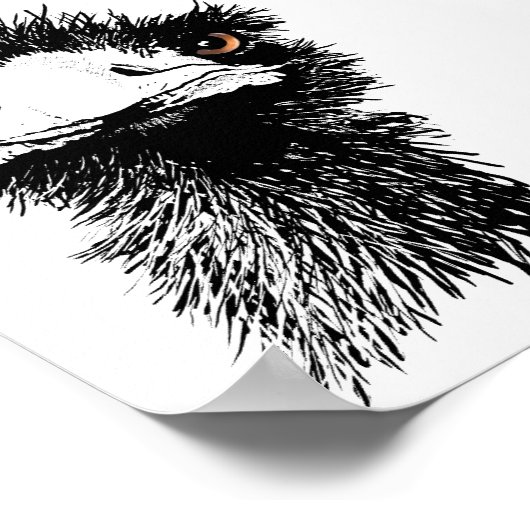 Emu Poster (Hoek)
