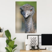 Emu Poster (Thuiskantoor)