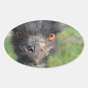 Emu Vogel Stickers