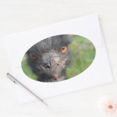 Emu Vogel Stickers (Envelop)