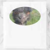 Emu Vogel Stickers (Tas)