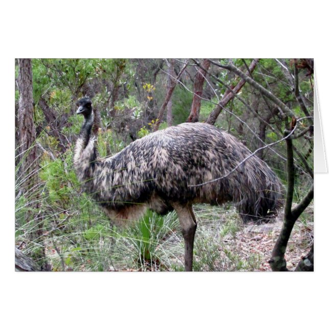 EMU Walk (Voorkant Horizontaal)