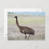 emu - wandeling briefkaart (Voorkant / Achterkant)