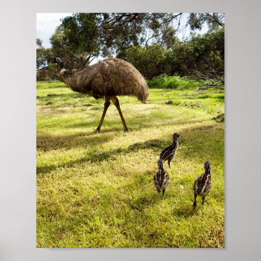 Emu with Chicks Nabbor Watch, Poster (Voorkant)