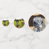 Emus australien, table d'anniversaire Confetti (Derrière)