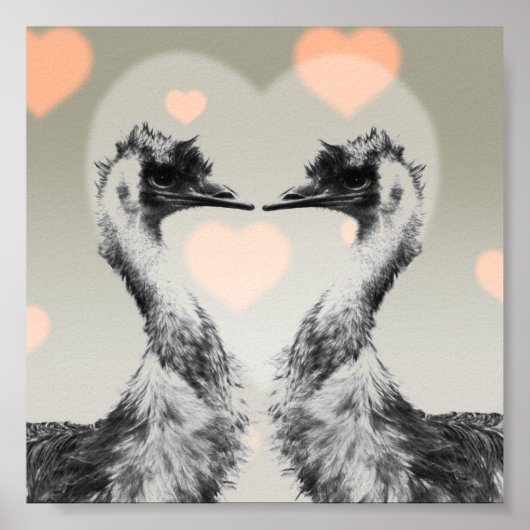 Emus uit liefde poster (Voorkant)