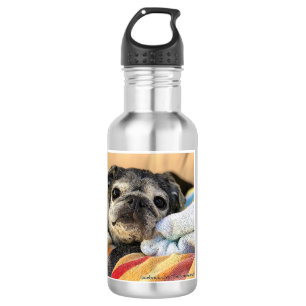 En Acier Inoxydable Bouteille d'eau de Bumblesnot : La délivrance est