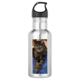 En Acier Inoxydable Bouteille d'eau majestueuse de Dave (532 ml),
