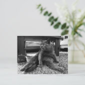 En attente - Carte postale (Debout devant)