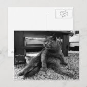 En attente - Carte postale (Devant / Derrière)
