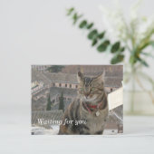 En attente de votre carte postale (Debout devant)