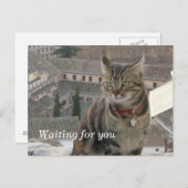 En attente de votre carte postale (Devant / Derrière)