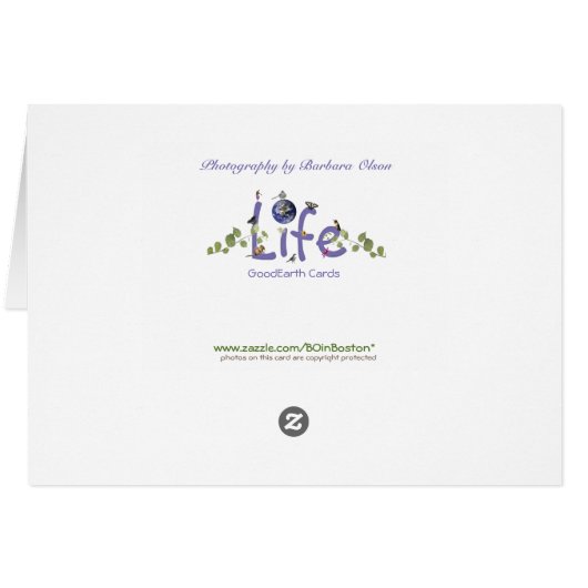 En attente du printemps (Dos Horizontal)