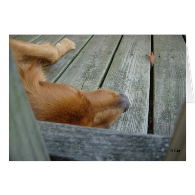 En attente, S Cyr (Devant horizontal)