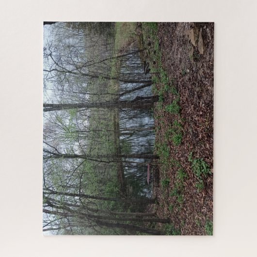 En Bas Par L'Étang Jigsaw Puzzle (Vertical)