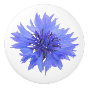 En Céramique bouton de porte de cornflower bleu