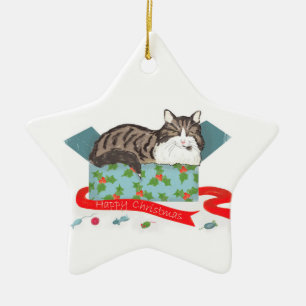 En Céramique Chat dans une boîte de Noël arbre ornement