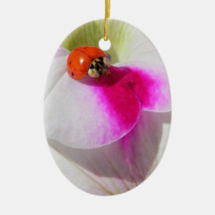 En Céramique Coccinelle sur le pétunia - ornement