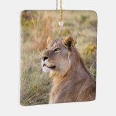 En Céramique Ornement (Droite)