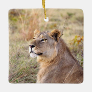 En Céramique Ornement