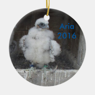 En Céramique Ornement 2016 d'aria