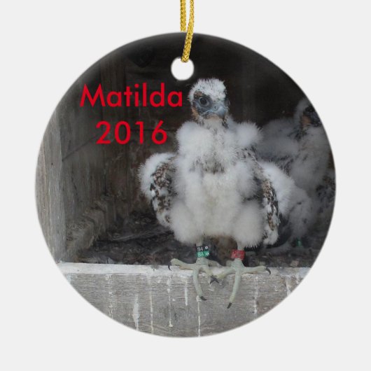 En Céramique Ornement 2016 de Matilda (Devant)