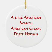 En Céramique Ornement américain de beauté (Dos)