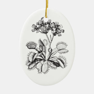 En Céramique Ornement botanique vintage d'attrape-mouche de