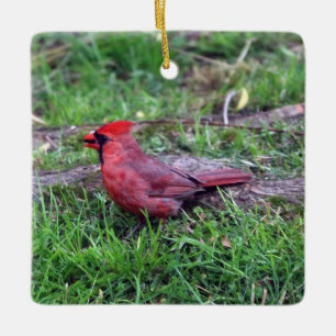 En Céramique Ornement cardinal