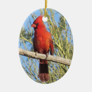 En Céramique Ornement cardinal