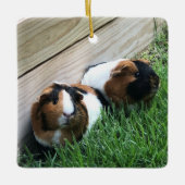 En Céramique Ornement - Chiens de Guinée (Devant)