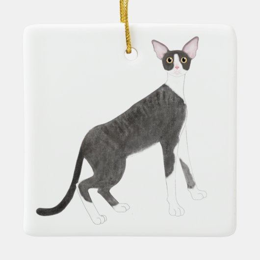 En Céramique Ornement Cornish Rex (Devant)