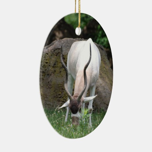 En Céramique Ornement d'addax (Droite)