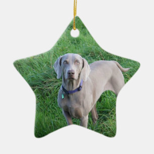 En Céramique Ornement d'amants de Weimaraner
