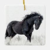 En Céramique Ornement "Danseuse de glace" (Devant)