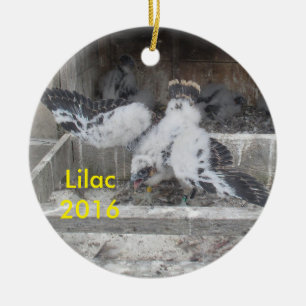En Céramique Ornement de 2016 lilas