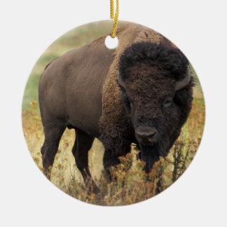 En Céramique Ornement de bison américain