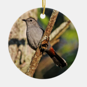 En Céramique Ornement de Catbird gris