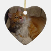 En Céramique Ornement de chat de ragondin du Maine (Dos)